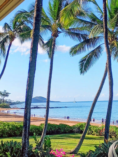 Send your best photos from Maui County to mauiphotos@mauinews.com for a chance to see them featured on our website and in our weekly print edition.